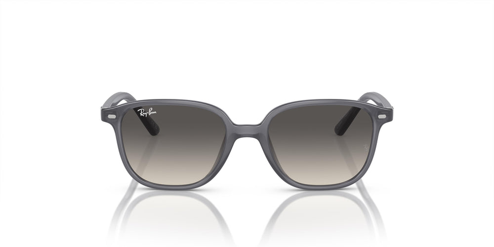Ray-Ban Kids RJ9093S LEONARD 713411 45