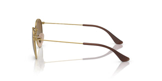 Ray-Ban RJ9547S JUNIOR ROUND 223/T5 44