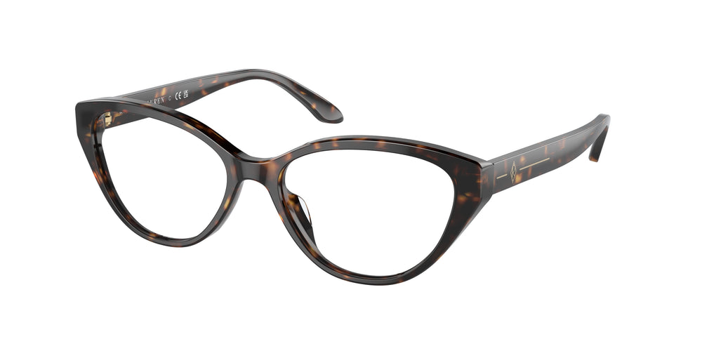 Ralph Lauren RL6228U 5003 53