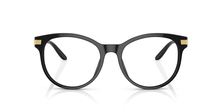 Ralph Lauren RL6231U 5001 53