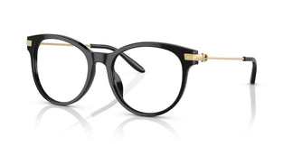 Ralph Lauren RL6231U 5001 53