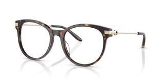 Ralph Lauren RL6231U 5003 53