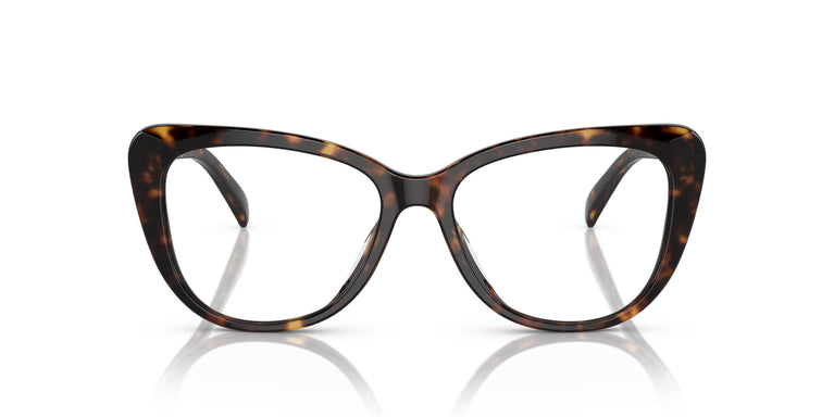 Ralph Lauren RL6232U 5003 54