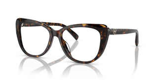Ralph Lauren RL6232U 5003 52