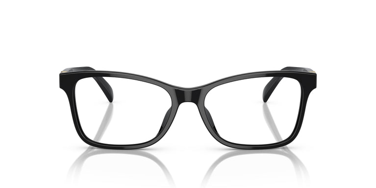 Ralph Lauren RL6233U 5001 54