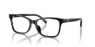 Ralph Lauren RL6233U 5001 54