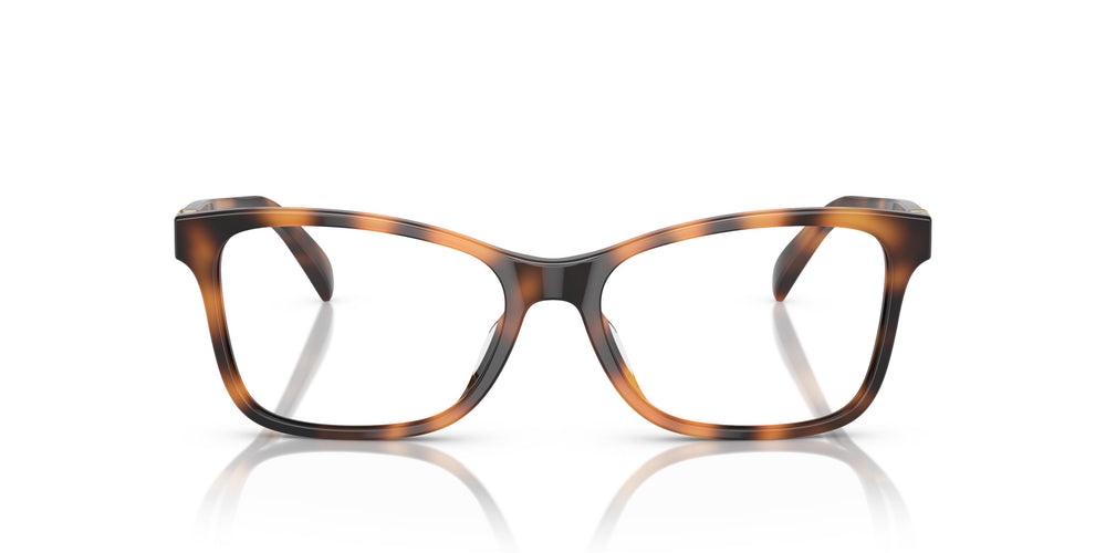 Ralph Lauren RL6233U 5303 54