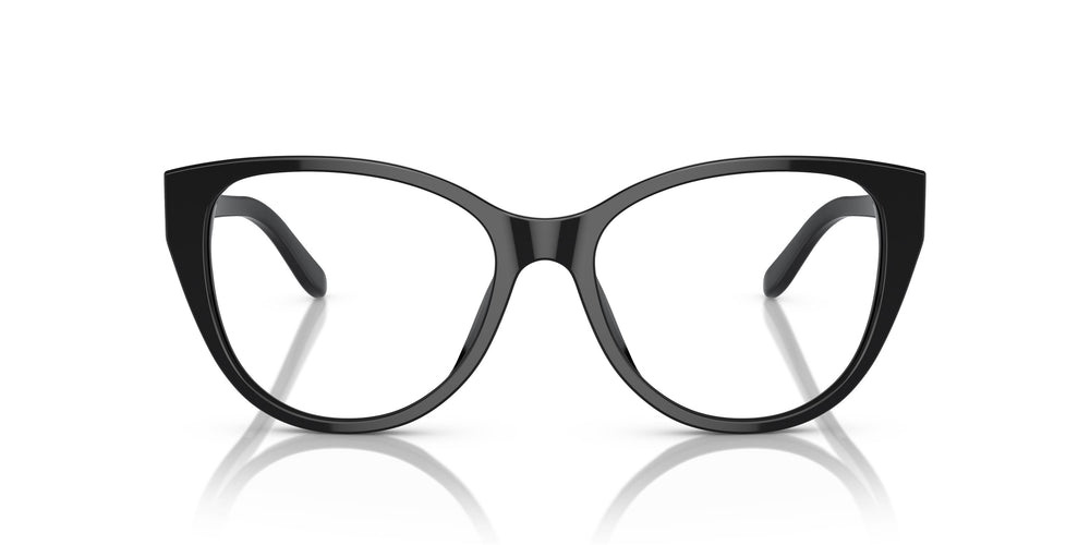 Ralph Lauren RL6234BU 5001 53
