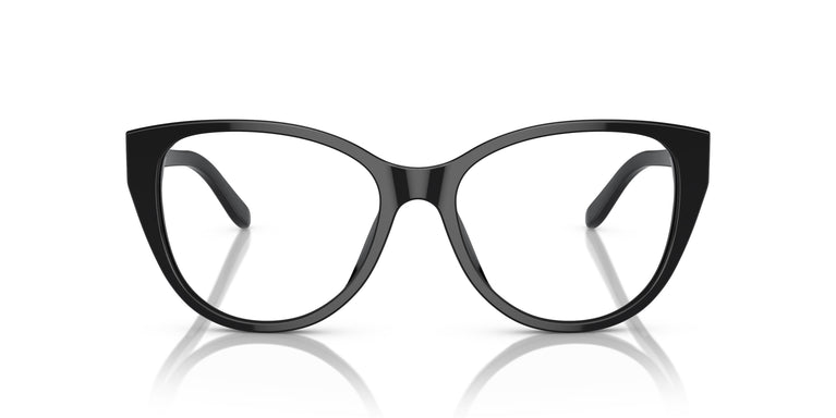 Ralph Lauren RL6234BU 5001 53