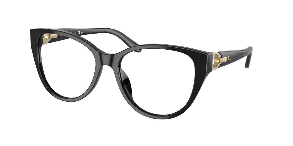 Ralph Lauren RL6234BU 5001 53