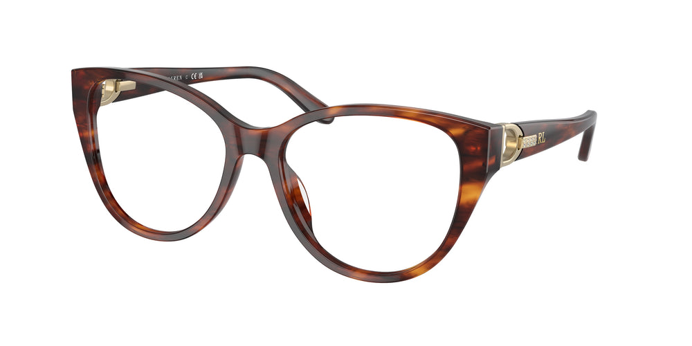 Ralph Lauren RL6234BU 5007 55