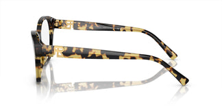 Ralph Lauren RL6236U 5004 55