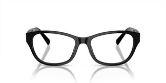 Ralph Lauren RL6237U 5001 54