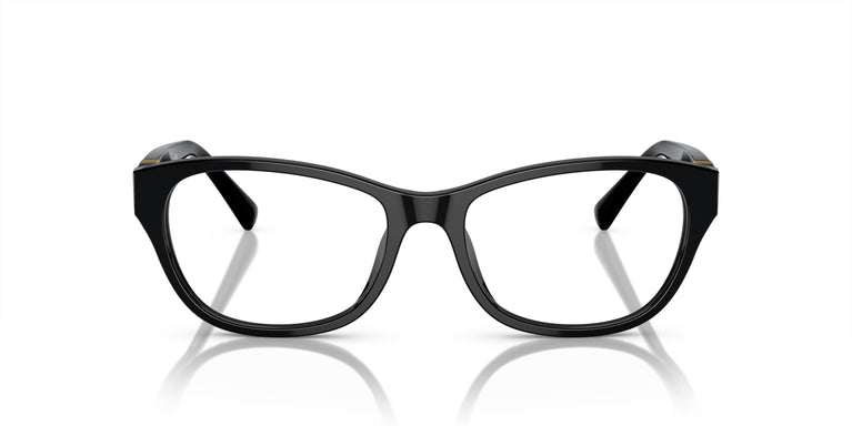 Ralph Lauren RL6237U 5001 54