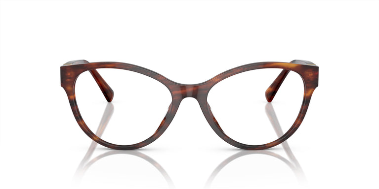 Ralph Lauren RL6238U 5007 52
