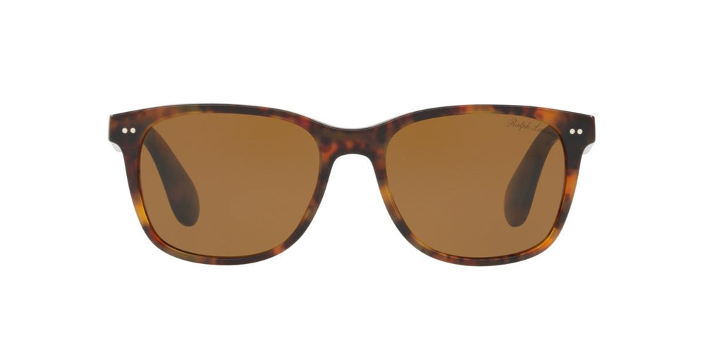 Ralph Lauren RL8162P - 501753 - Shiny Jerry Havana - 56 mm