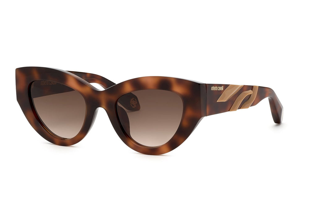 Roberto Cavalli SRC009M 02BV 51