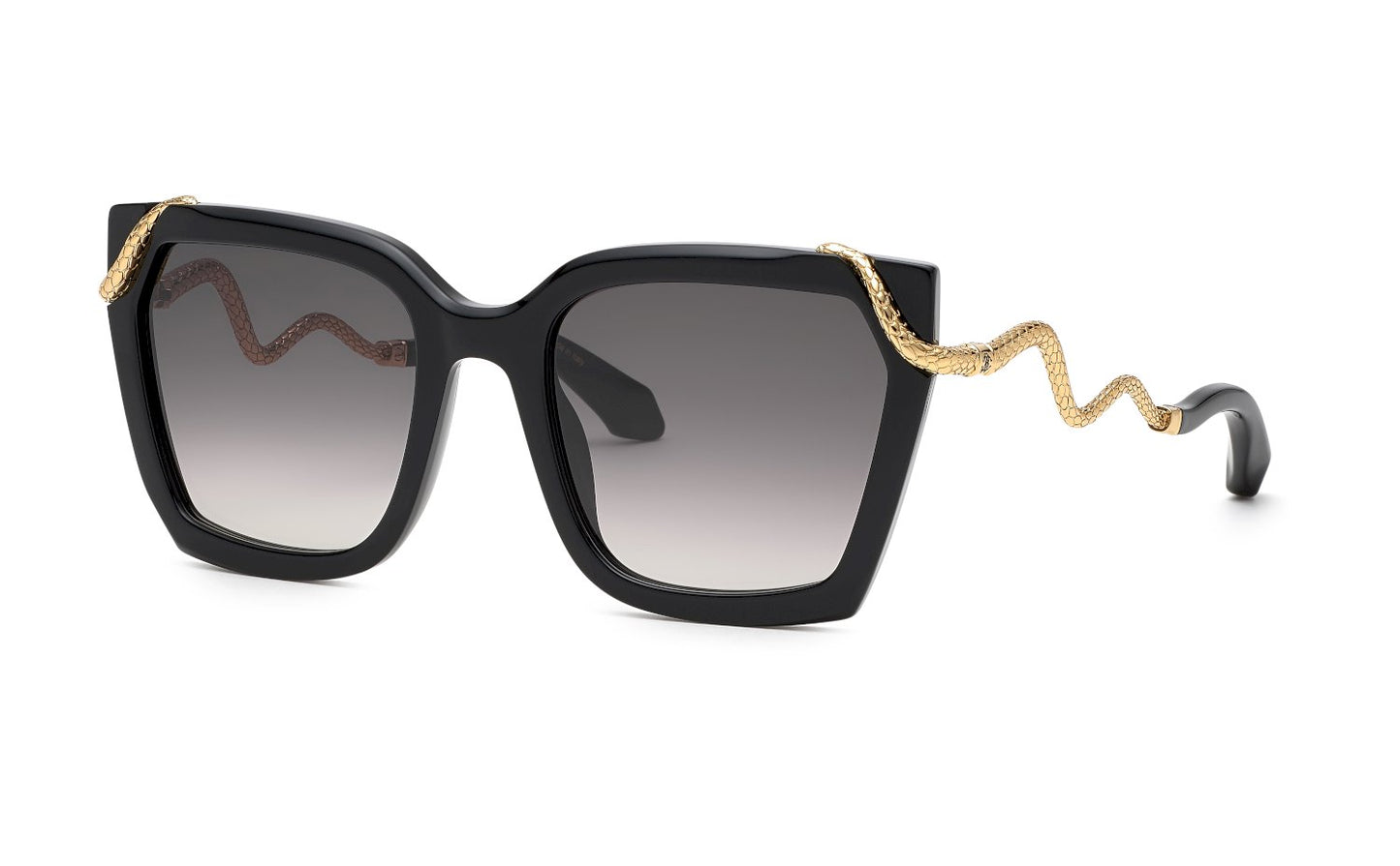 Roberto Cavalli SRC034M 0700 56