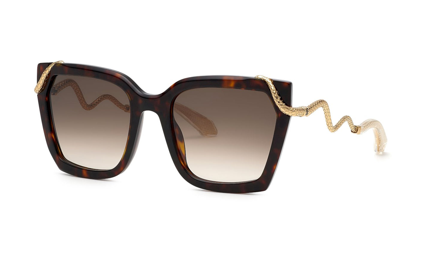 Roberto Cavalli SRC034M 0743 56