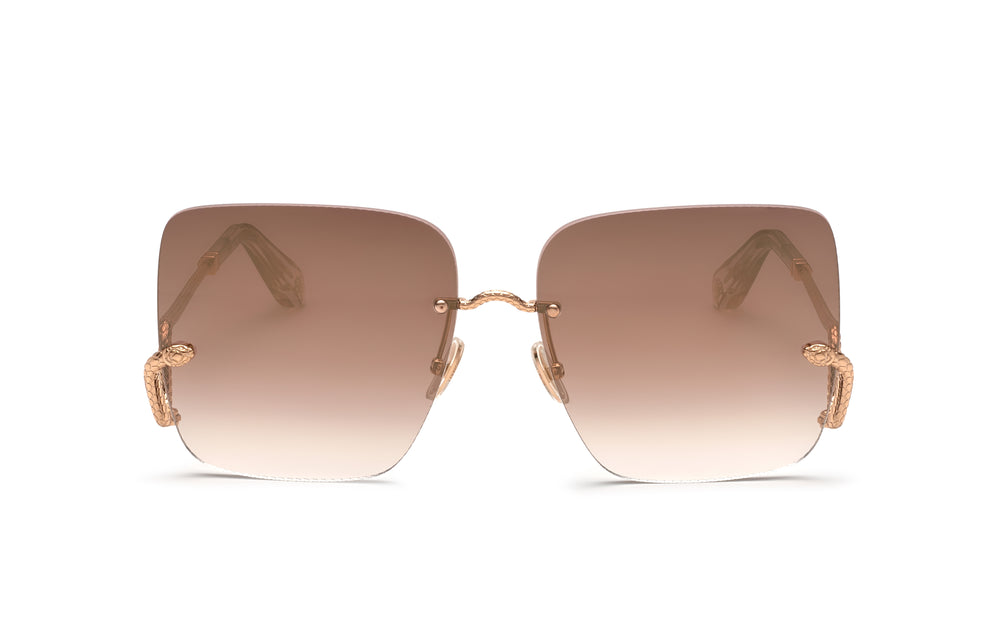 Roberto Cavalli SRC061 8FCG 16