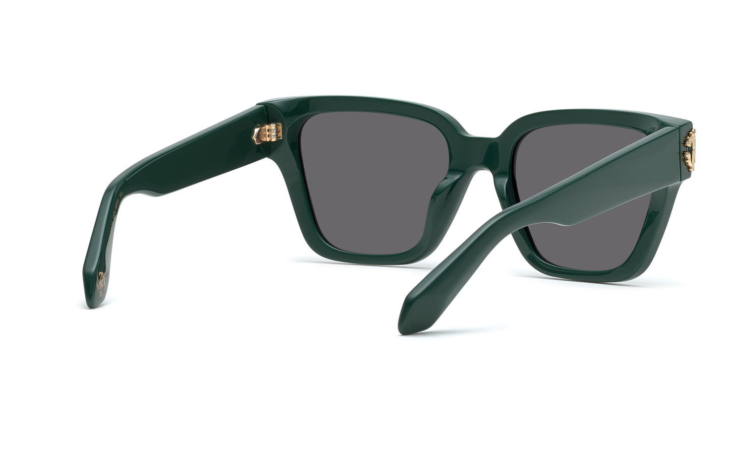 Roberto Cavalli SRC066M 0D80 20