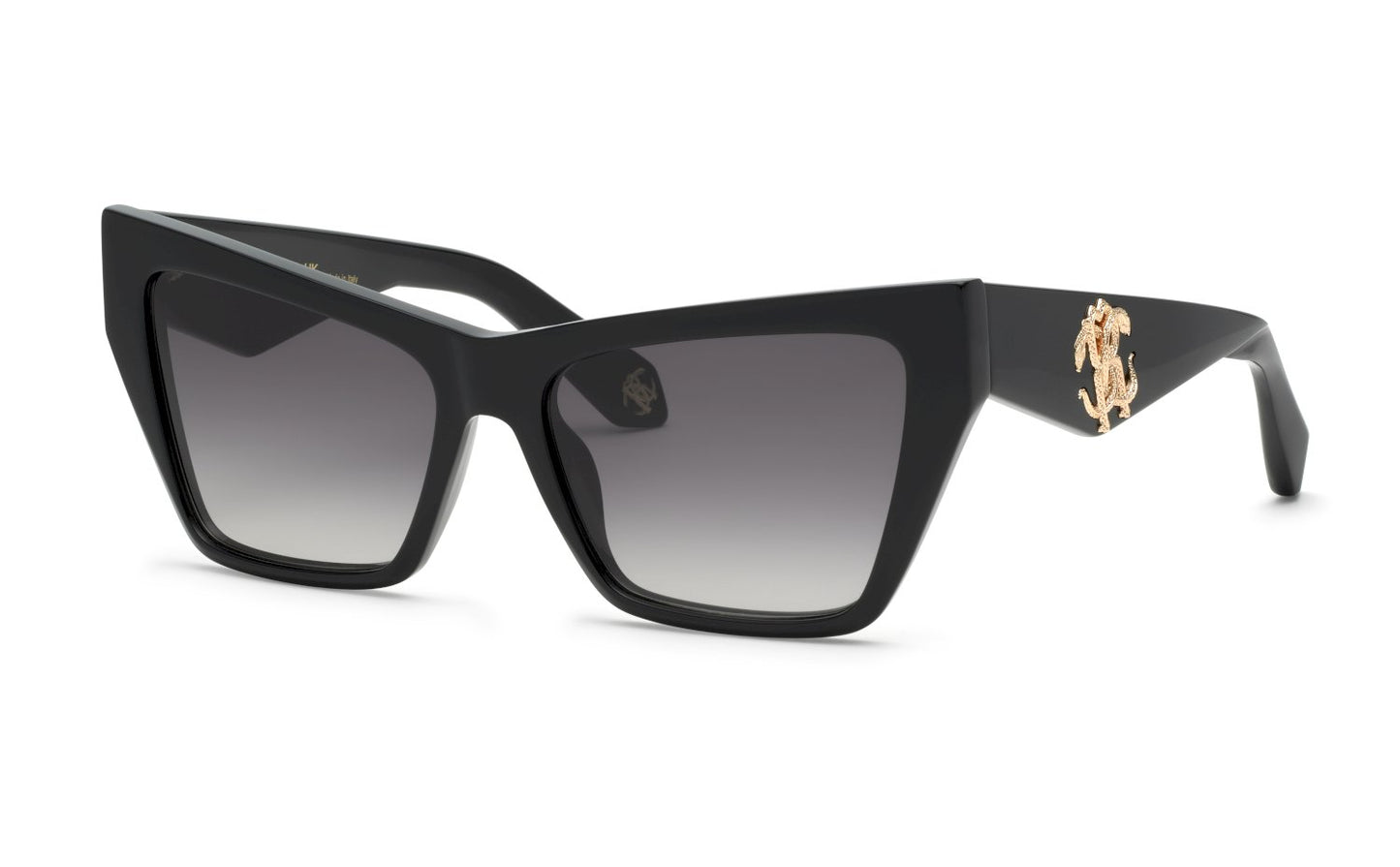 Roberto Cavalli SRC114 0700 58
