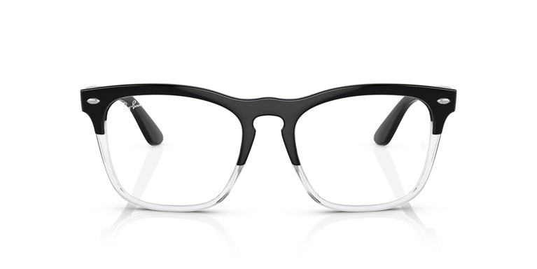 Ray-Ban RX4487V STEVE 8193 54