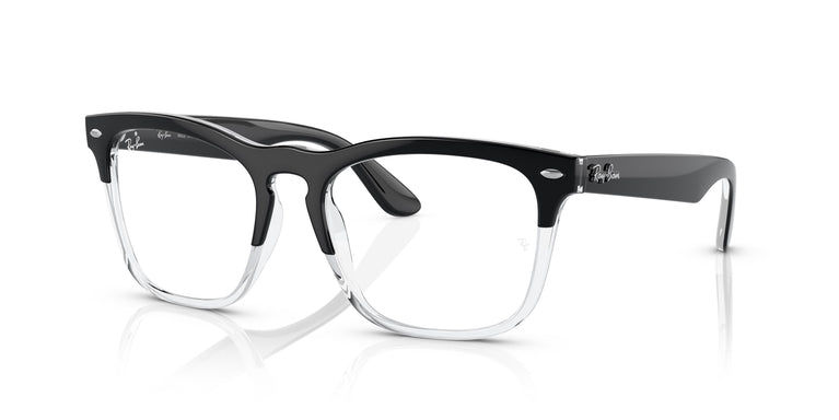 Ray-Ban RX4487V STEVE 8193 54