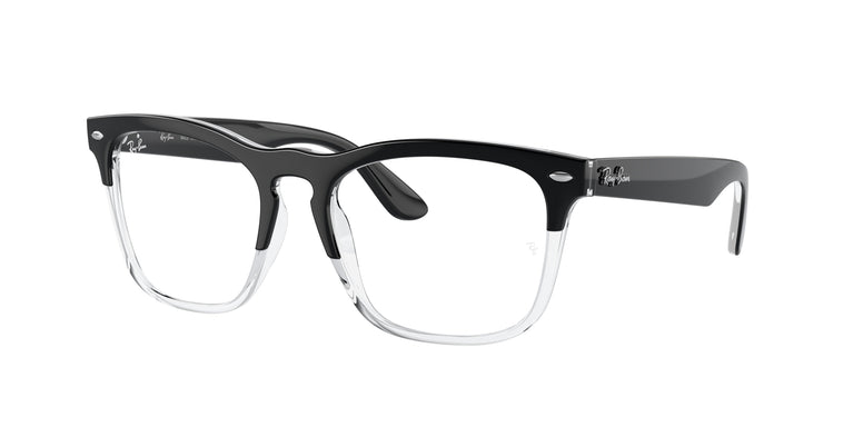 Ray-Ban RX4487V STEVE 8193 54