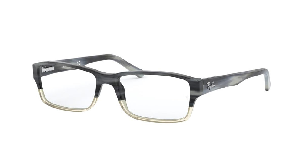 Ray-Ban RX5169 5540 54