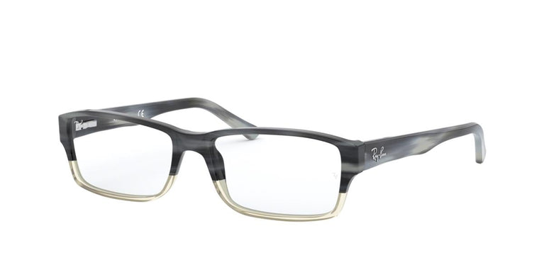 Ray-Ban RX5169 5540 52