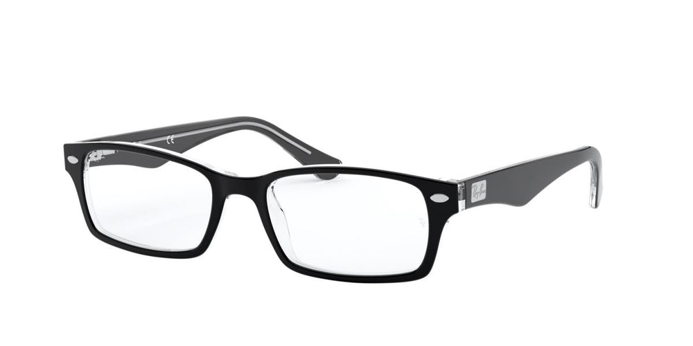 Ray-Ban RX5206 2034 52