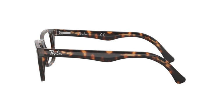 Ray-Ban RX5228 2012 50