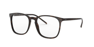 Ray-Ban RX5387 2012 52