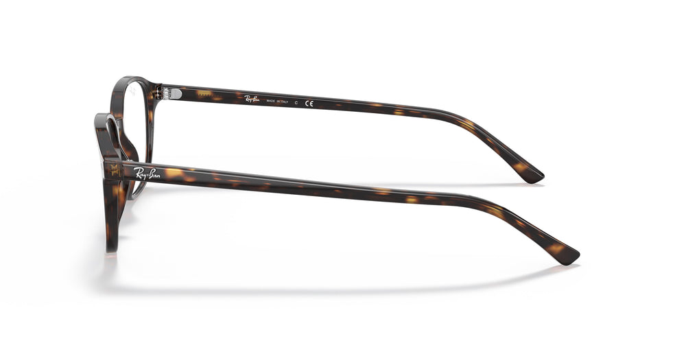 Ray-Ban RX5393 LEONARD 2012 49
