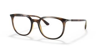 Ray-Ban RX7190 2012 53
