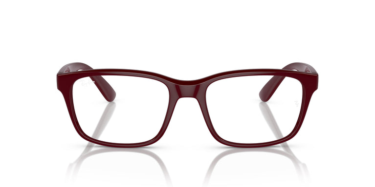 Ray-Ban RX7221M F685 54