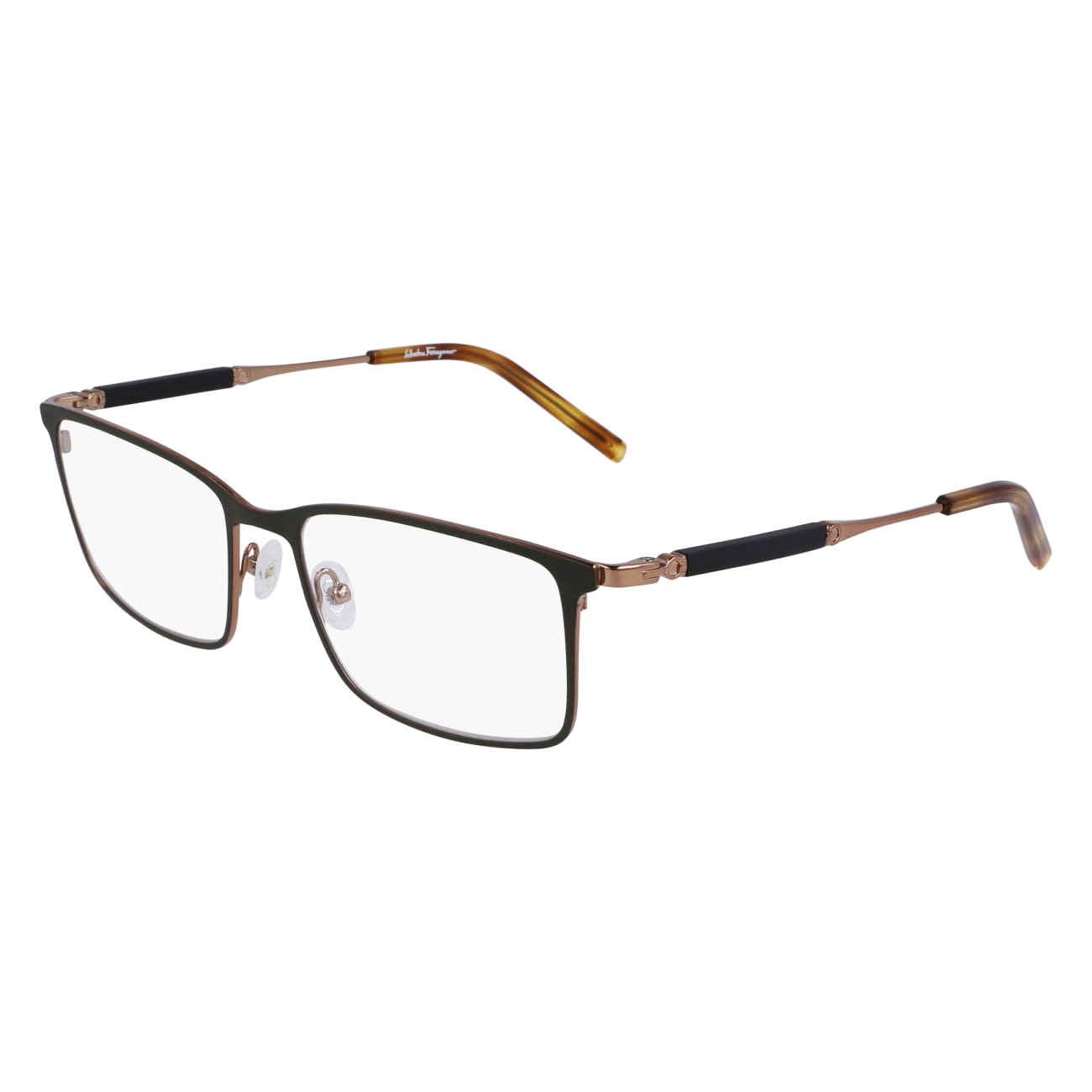Salvatore Ferragamo SF2574 750 56