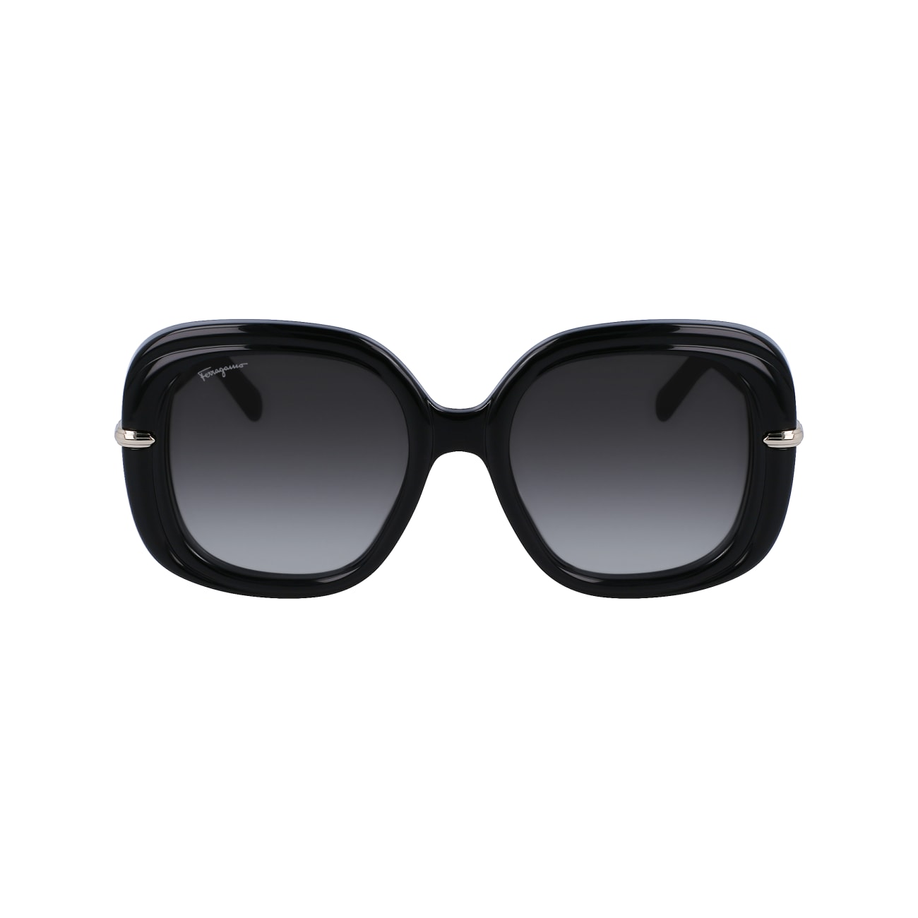 Salvatore Ferragamo SF1058S 001 54