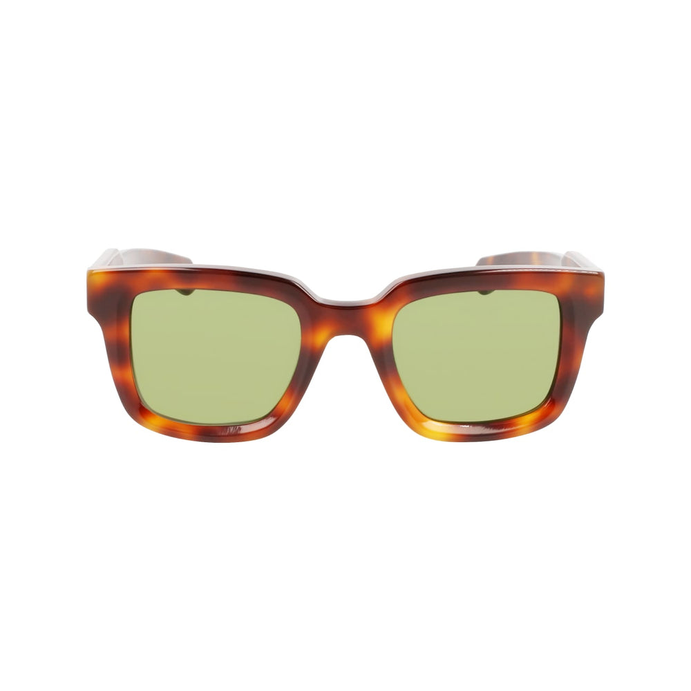 Salvatore Ferragamo SF1064S 240 48