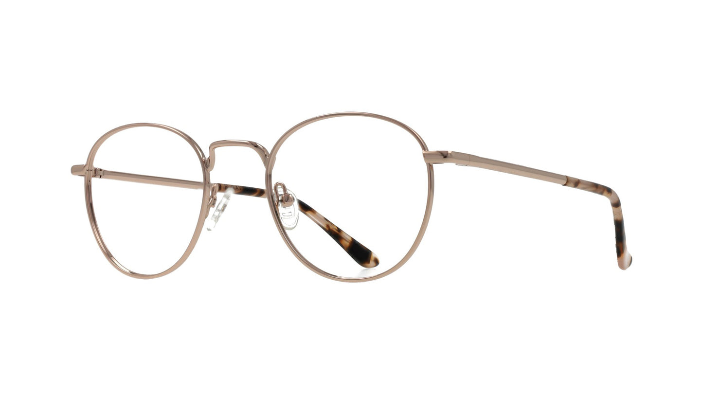 Raval Eyewear SHOREDICT C2