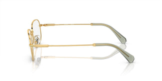 Swarovski SK1005 4004 54