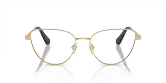Swarovski SK1007 4013 53