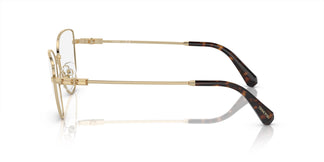 Swarovski SK1007 4013 53