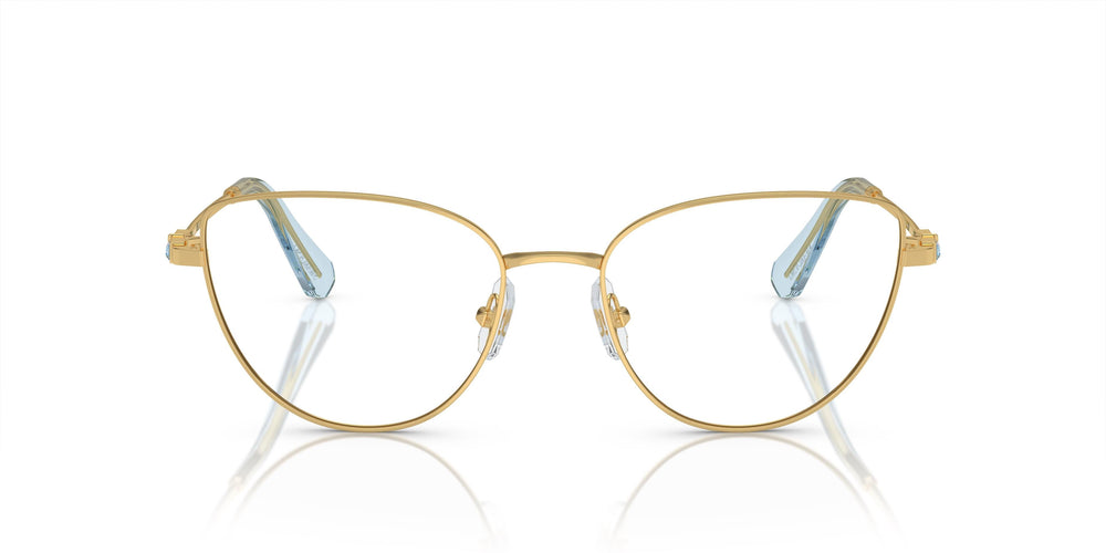 Swarovski SK1007  4021 53