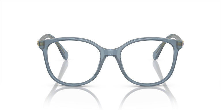 Swarovski SK2002 1035 51