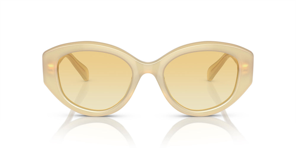 Swarovski SK6005 10232Q 53