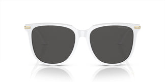 Swarovski SK6015D 103387 55