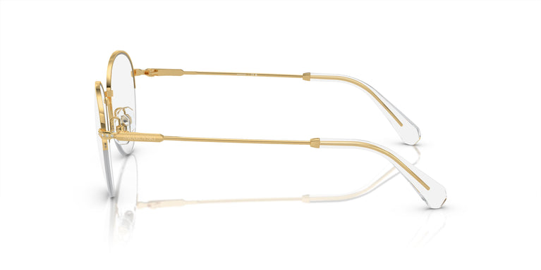 Swarovski SK1004  4004 51