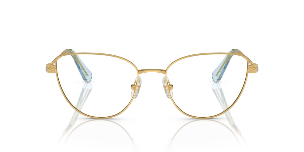 Swarovski SK1007  4021 53